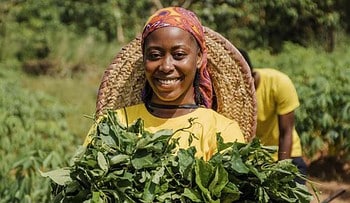brics agricultural cooperation and food security