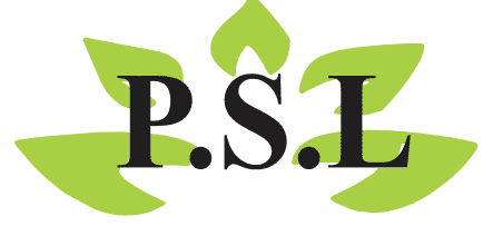 Strategic Solutions Consultancy Abuja – Nigeria