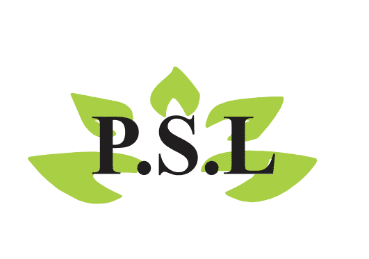 Strategic Solutions Consultancy Abuja – Nigeria