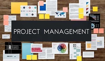 project management and execution strategies.