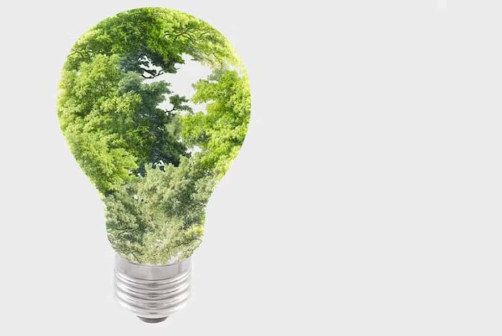sustainability