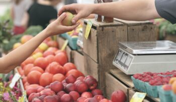 transforming commerce: the african business council's vision for sustainable development