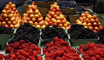 african markets unveiled: strategies for a smooth entry in diverse economies