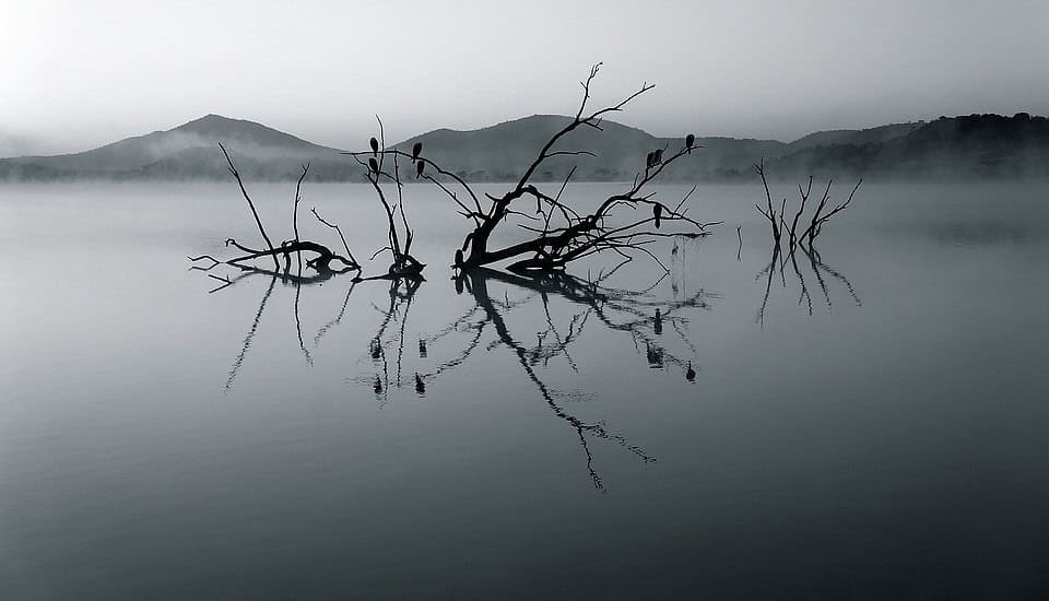 navigating global challenges: how brics plans to tackle climate change in 2024