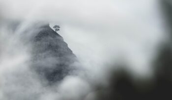 the brics bloc in 2024: strengthening alliances among emerging economies