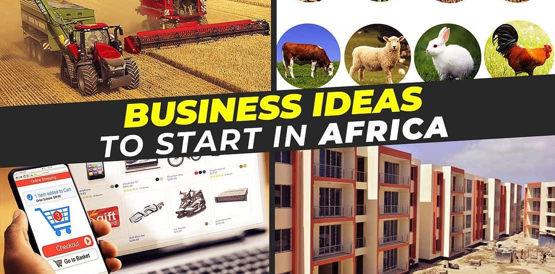 top 10 business ideas to start in africa 2024