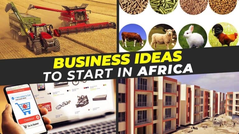 top 10 business ideas to start in africa 2024