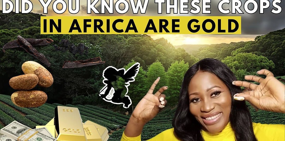 these 10 agriculture business ideas in africa will make you a millionaire fast