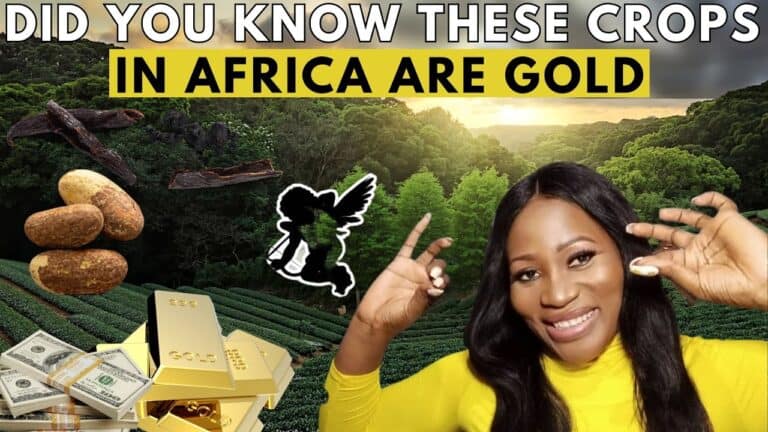 these 10 agriculture business ideas in africa will make you a millionaire fast
