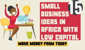 top 15 small business ideas in africa with low capital