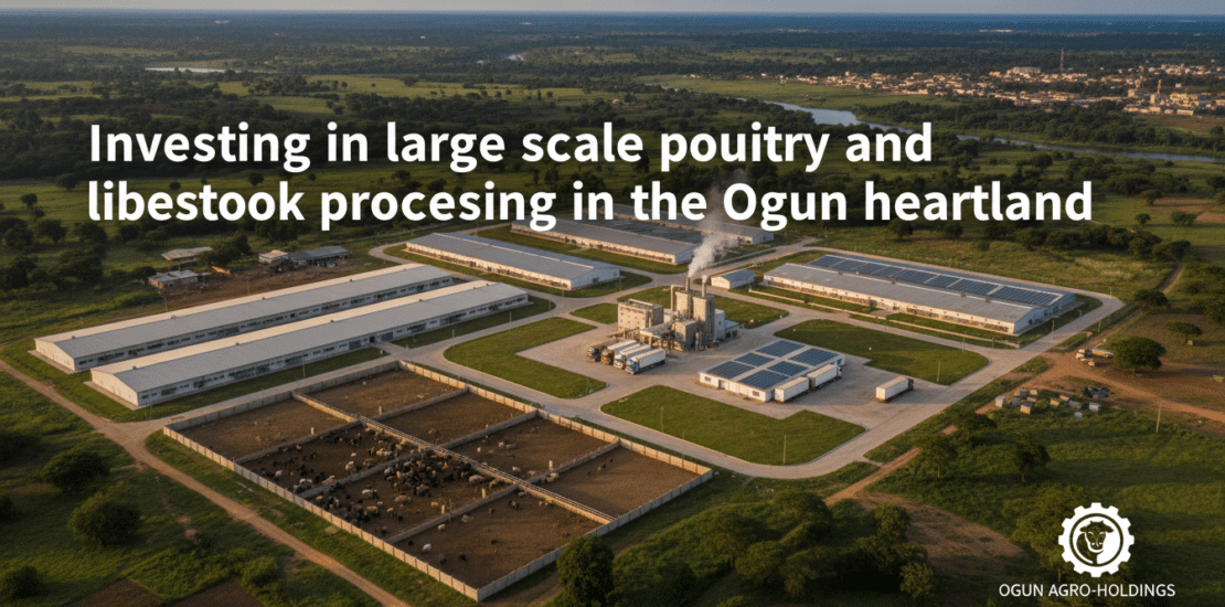 investing in large scale poultry and livestock processing in the