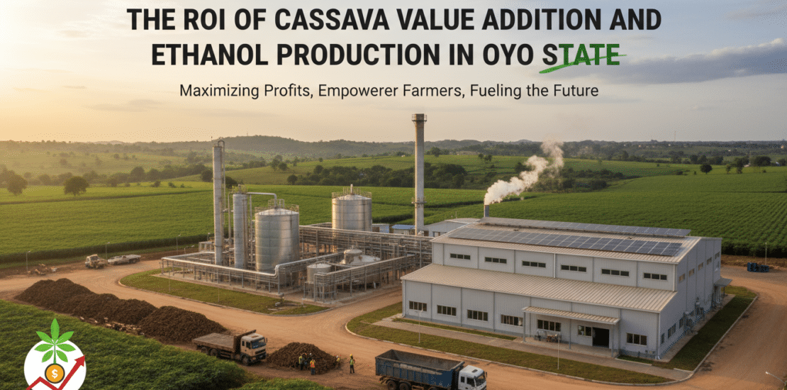 the roi of cassava value addition and ethanol production in