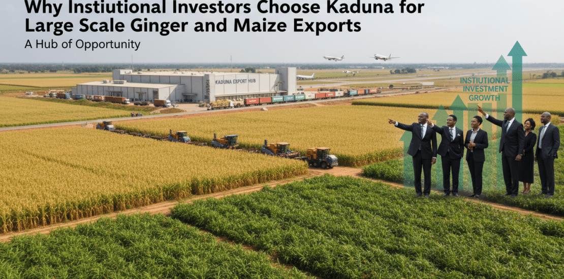 why institutional investors choose kaduna for large scale ginger and